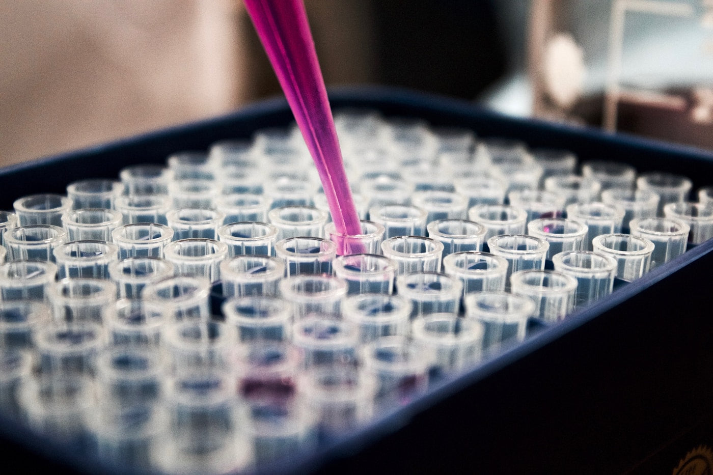 Scientific research on NAD+, quercetin and resveratrol for cellular longevity