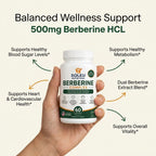 Berberine Capsules 800mg – Vegan HCl Extract for Daily Wellness