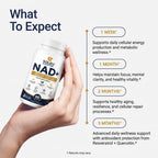 NAD+ Supplement with Resveratrol & Quercetin – Cellular Energy