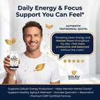 NAD+ Supplement with Resveratrol & Quercetin – Cellular Energy