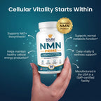 NMN Prime 500mg – Support for Cellular Energy & Vitality, 30 Capsules