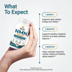 NMN Prime 500mg – Support for Cellular Energy & Vitality, 30 Capsules