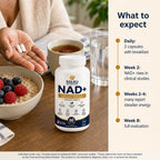 Hand holding two Soleu NAD+ capsules at breakfast with an 8-week what-to-expect timeline